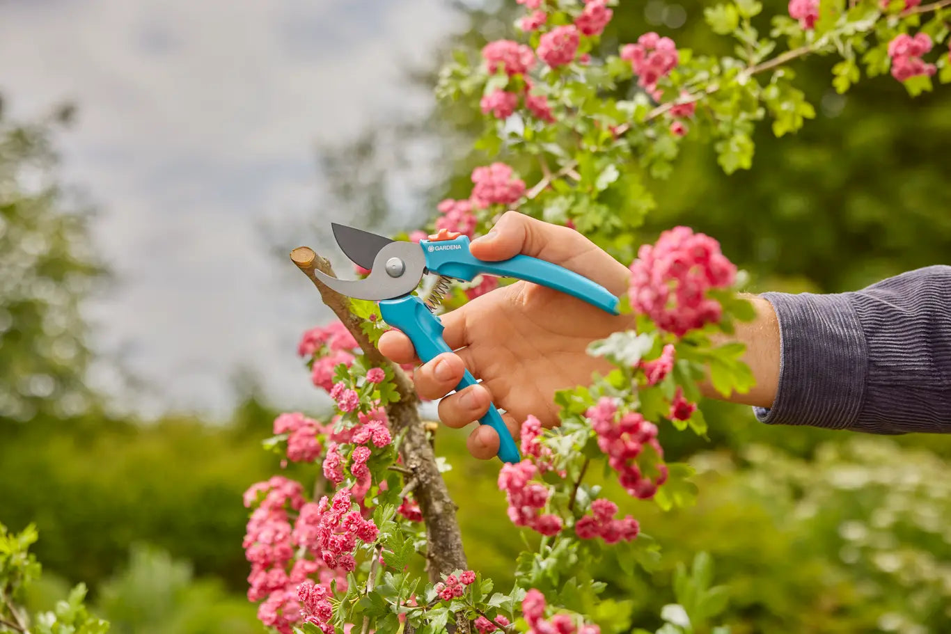 GARDENA EasyCut Secateurs