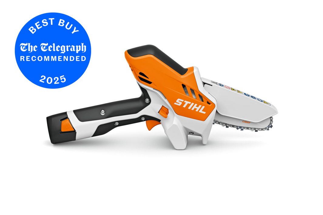 STIHL GTA26 Cordless Garden Pruner Unit only - AS System