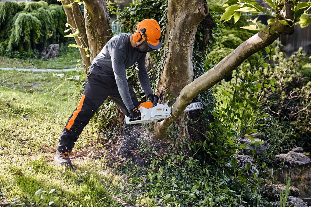 STIHL MSA220C-B Battery Chainsaw 14" AP System (unit only)