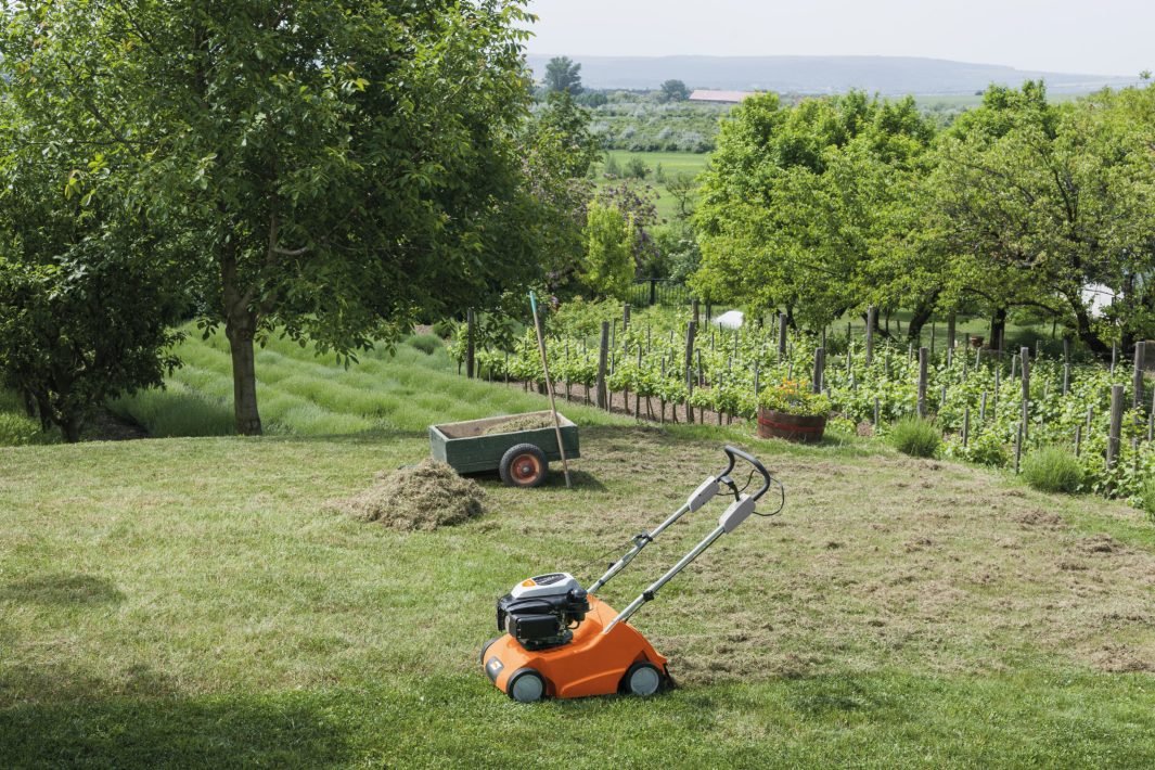Stihl RL540 Petrol Scarifier