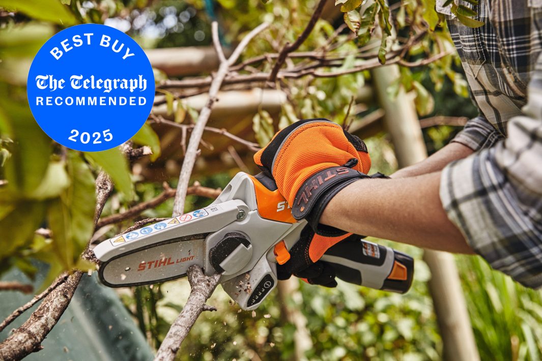 STIHL GTA26 Cordless Garden Pruner Unit only - AS System