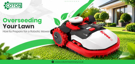 grass seeds for lawn 