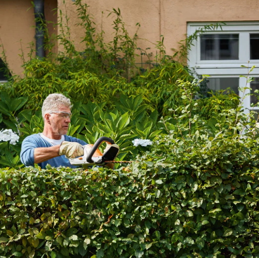 STIHL HSA45 Hedge Trimmer