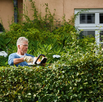 STIHL HSA45 Hedge Trimmer