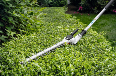 hedge cutters for sale