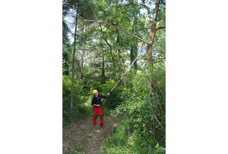 Silky Hayauchi 6300-6.5 4-part Pole Saw