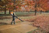 STIHL BRA600 Backpack Cordless Blower - AP System (unit only)