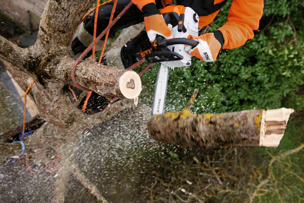 STIHL MS201TC-M Petrol Chainsaw 14"