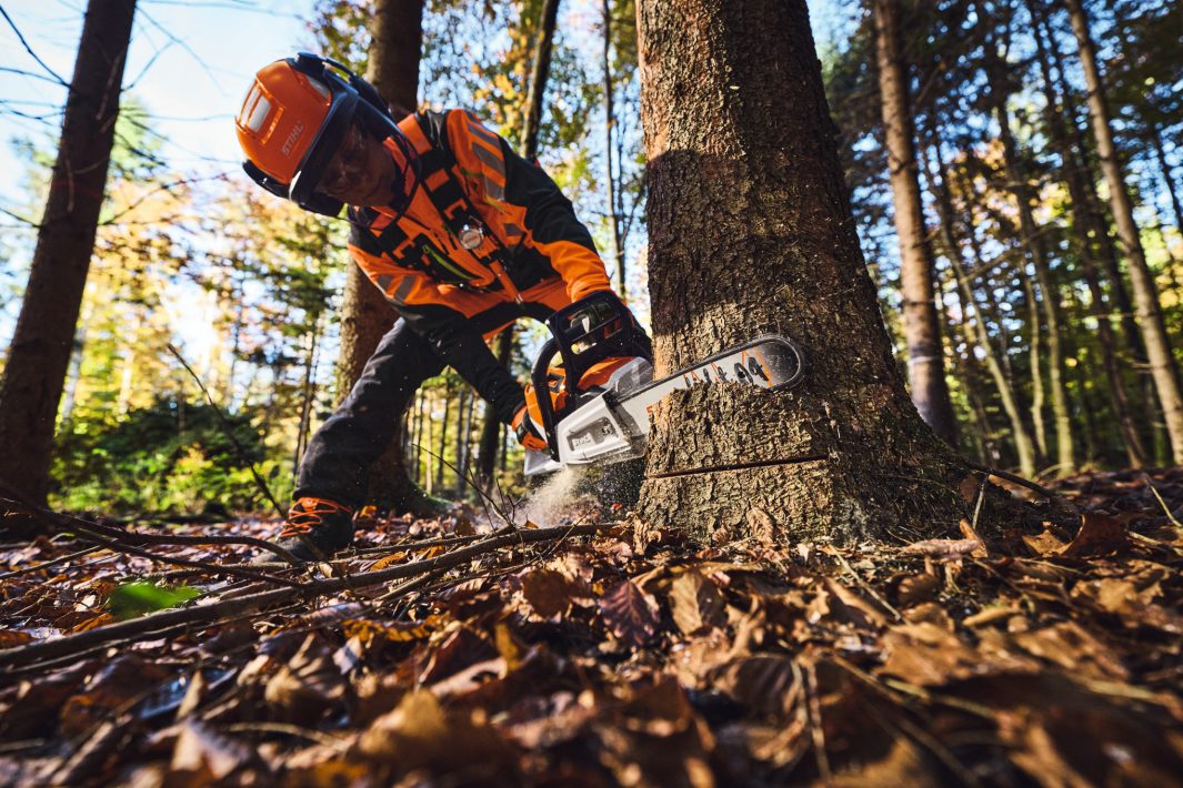 STIHL MSA260 Battery Chainsaw 14" AP / ALLPRO System (unit only)