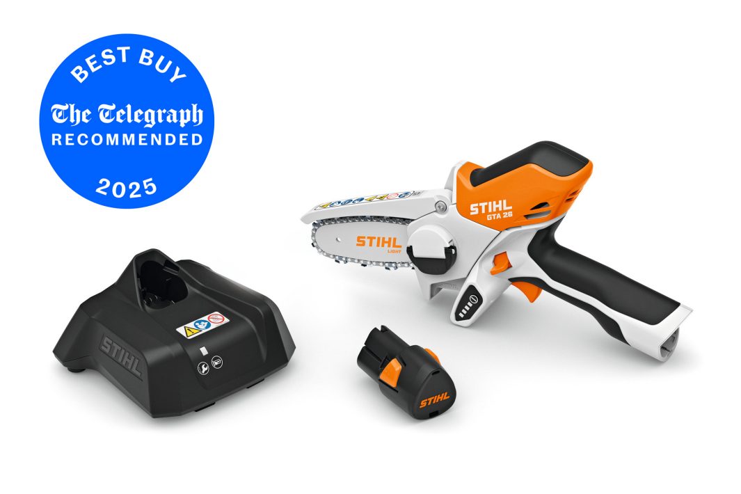 STIHL GTA26 Cordless Garden Pruner Set  - AS System