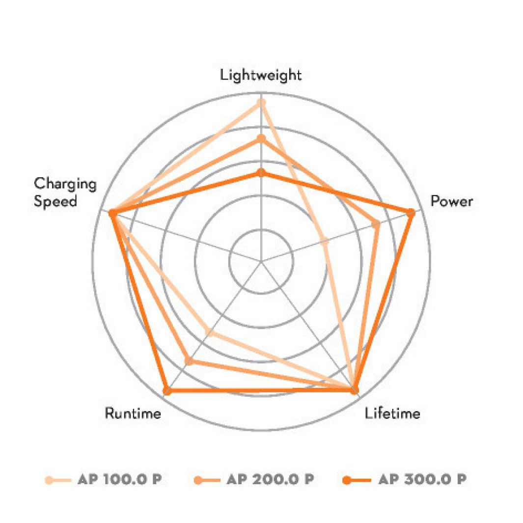 STIHL AP300P ALLPRO Battery