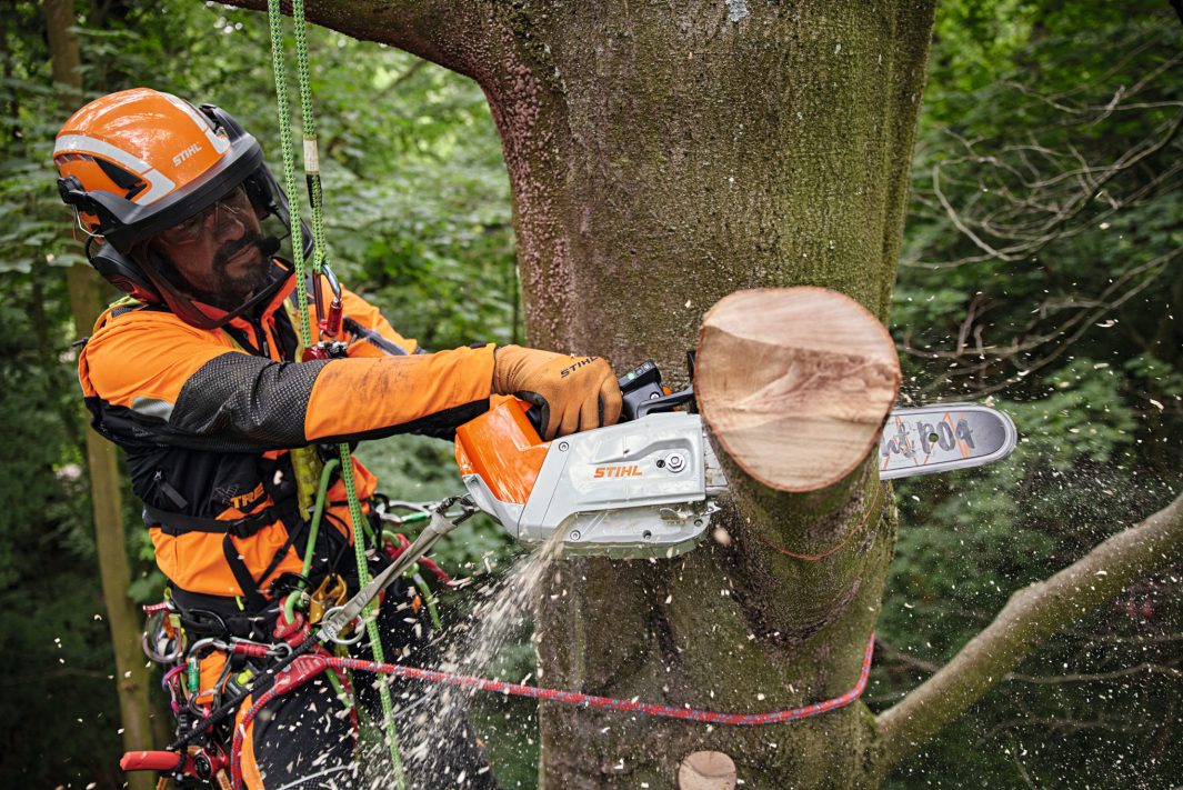 STIHL MSA220TC-O Battery Chainsaw 14" AP System (unit only)