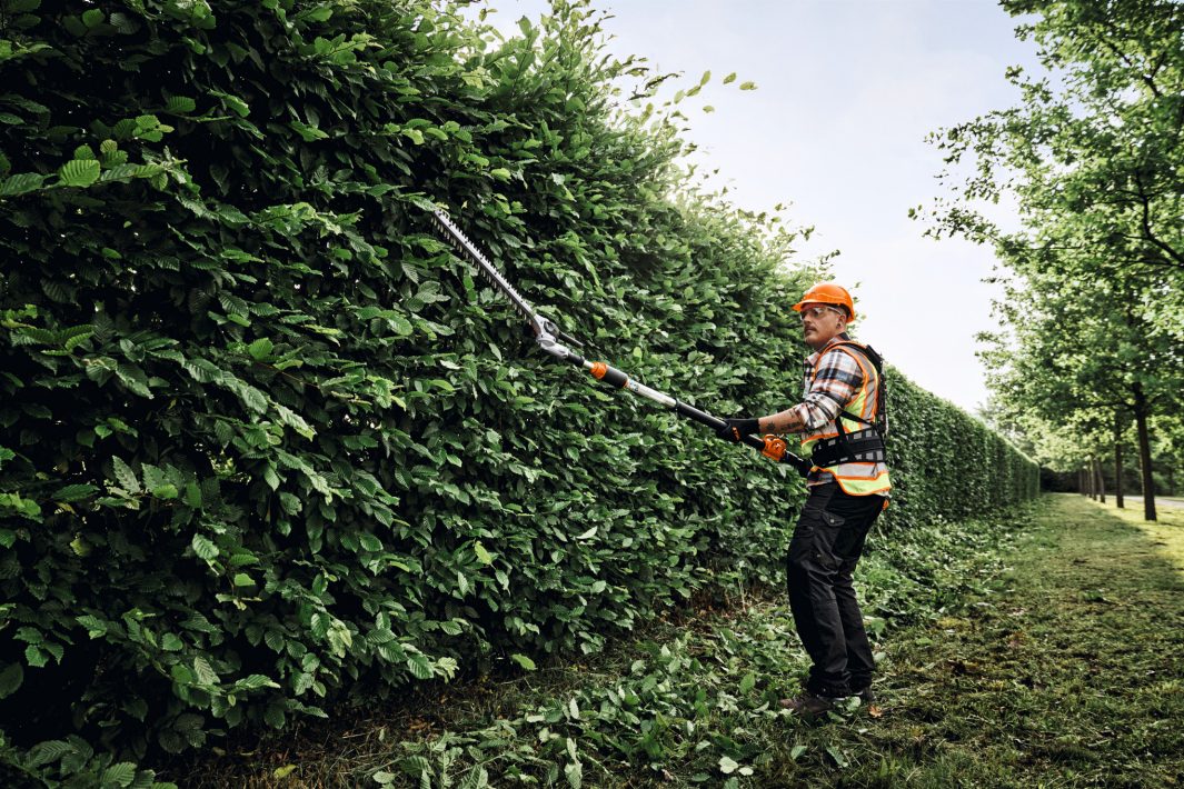 STIHL HLA150B Long-Reach Cordless Hedge Trimmer - AP System