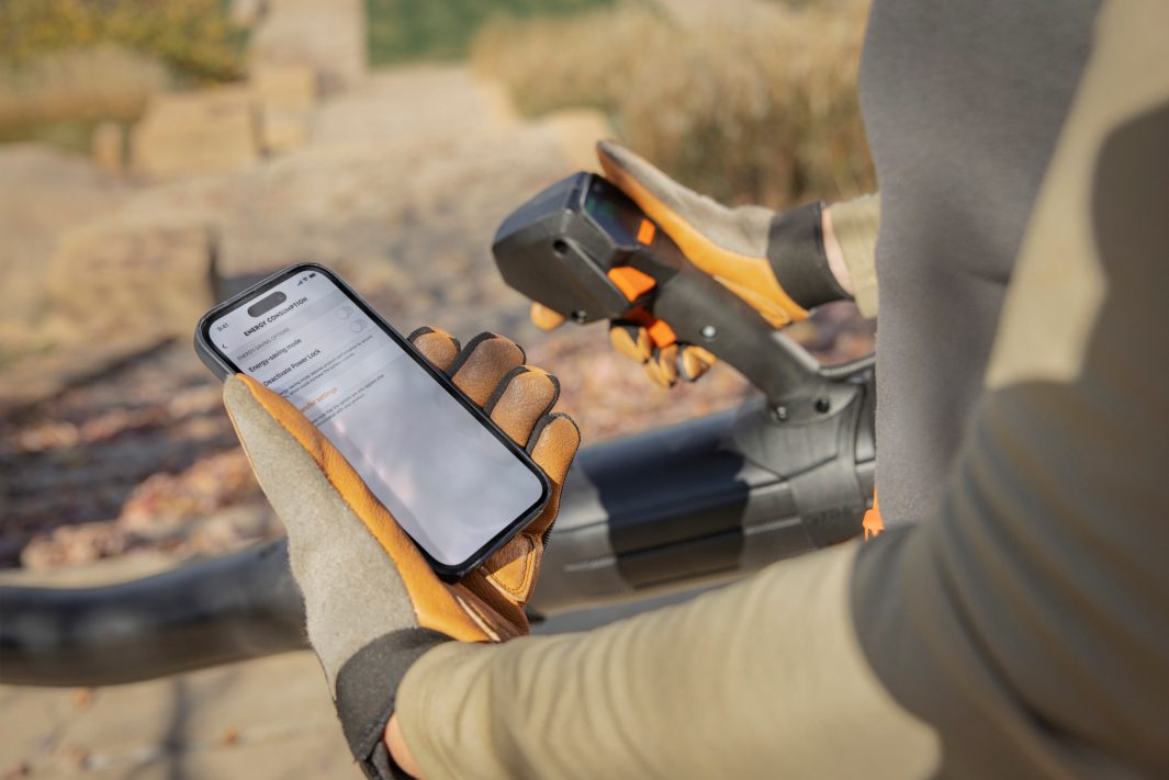 NEW STIHL BRA600 Cordless Backpack Blower - AP System (unit only)