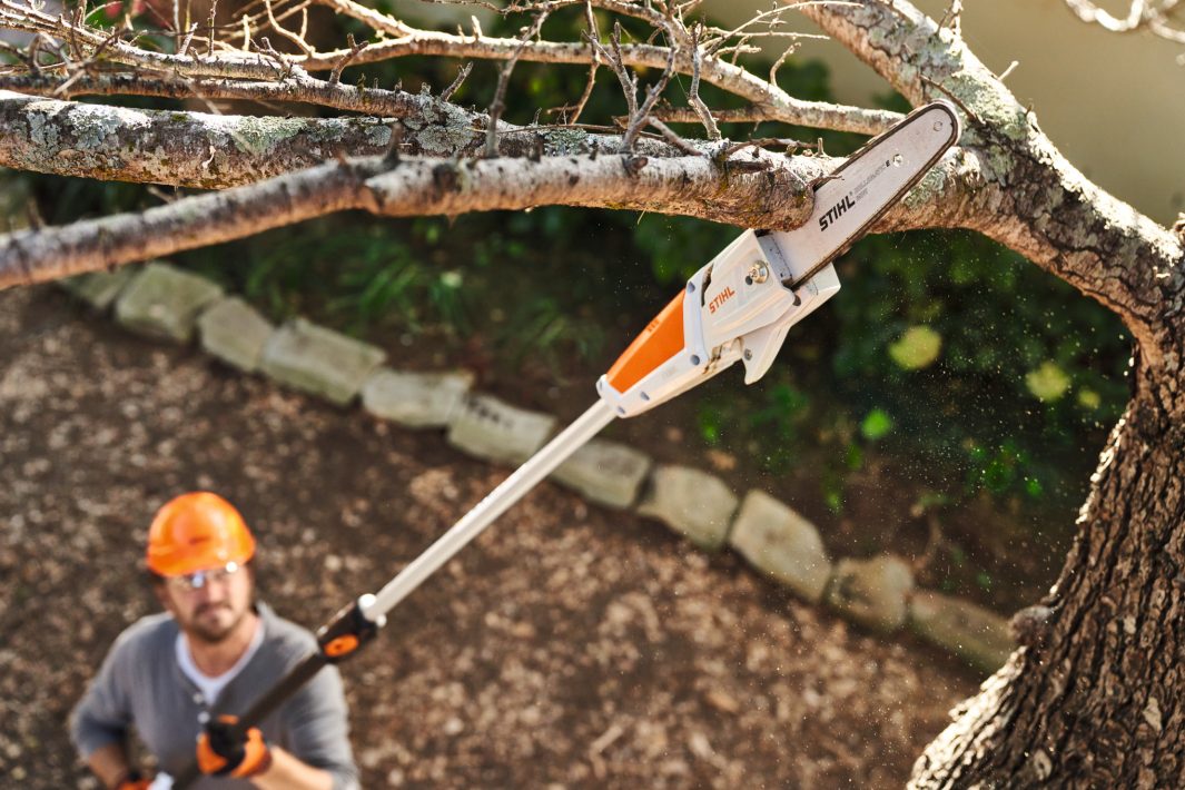 STIHL HTA50 Petrol Pole Pruner Kit - AK System (with 2 x AK20 & Charger)