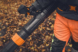 STIHL BRA600 Backpack Cordless Blower - AP System (unit only)