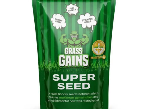 Grass Gains Super Seed 1KG Fast Growth Lawn Grass Seed 