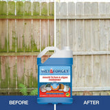Wet & Forget Outdoor Mould, Lichen & Algae Remover 4L